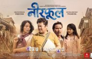 चैत ७ मा पुग्यो 'नीरफूल'